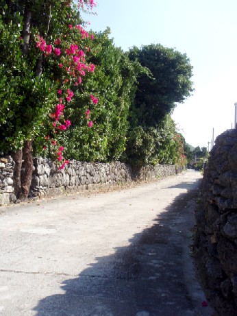 f0043911_1552998.jpg