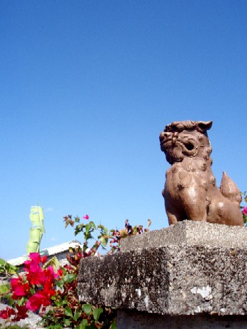 f0043911_1581779.jpg