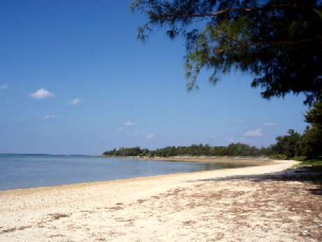 f0043911_158277.jpg