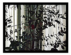 e0136420_20154328.gif