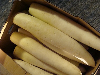 f0170524_10452645.jpg