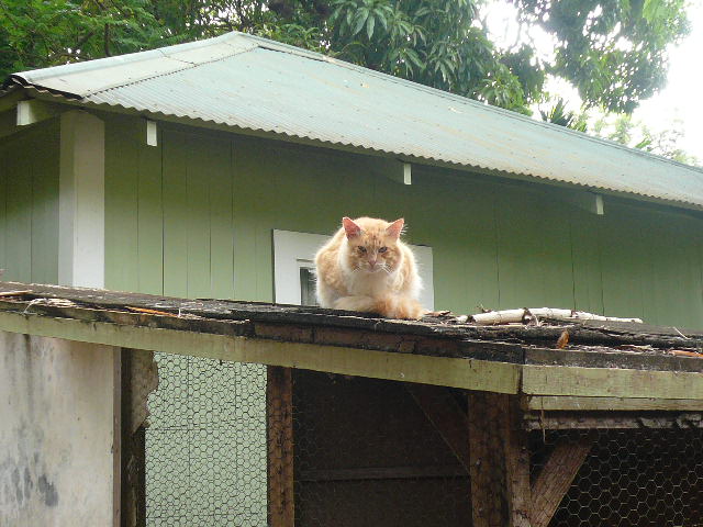 f0178525_8385331.jpg