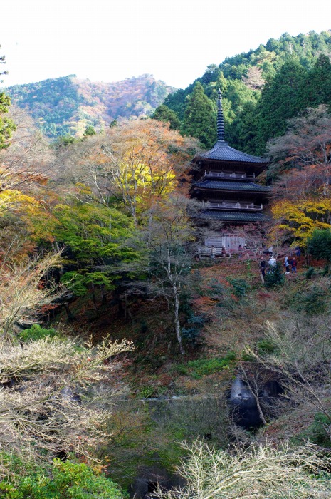c0106831_10112486.jpg