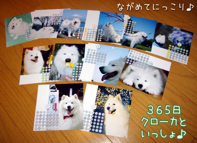 サンタクローカがやってきた！2008_c0062832_1813197.jpg