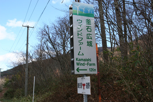 イヌワシの衝突死 1_a0087133_2225110.jpg