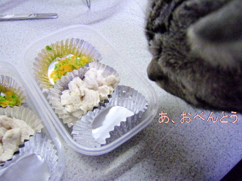 f0175434_0162815.jpg