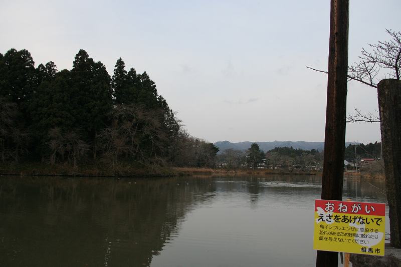 e0052135_2121084.jpg