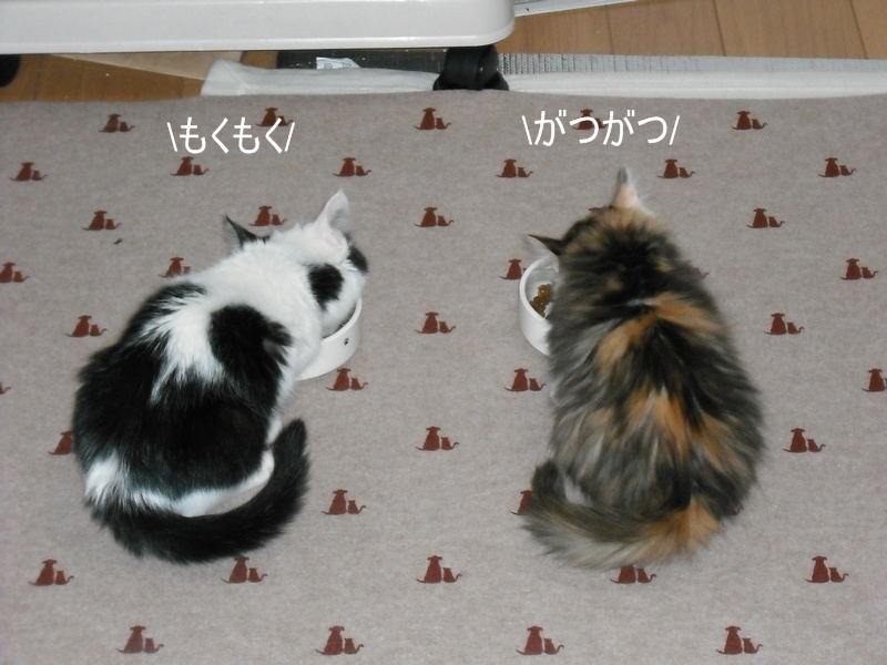 c0181639_19548.jpg