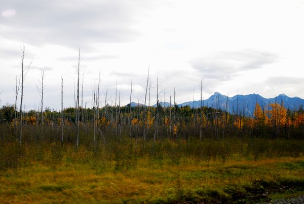 e0098241_947678.jpg