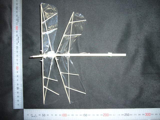羽ばたきの支脈_d0067943_1544381.jpg