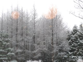 ゆきえさんの背景は雪景色。_f0019247_186427.jpg