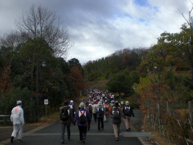 b0152548_16375058.jpg
