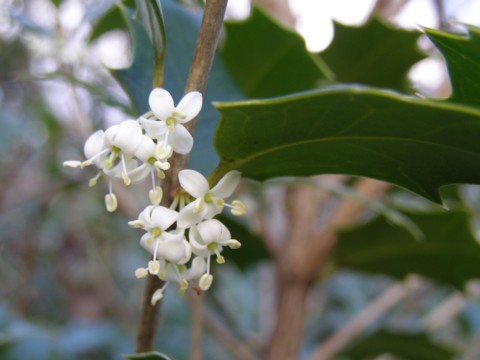 f0043750_6365123.jpg