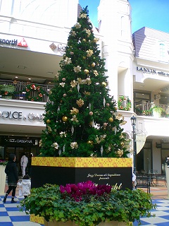 d0006756_10494966.jpg