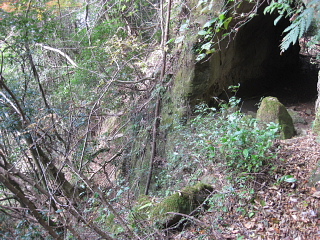 e0152357_8554554.jpg