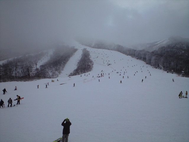 d0110562_2324191.jpg