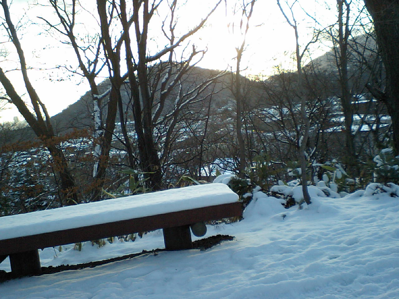 d0098665_18555180.jpg