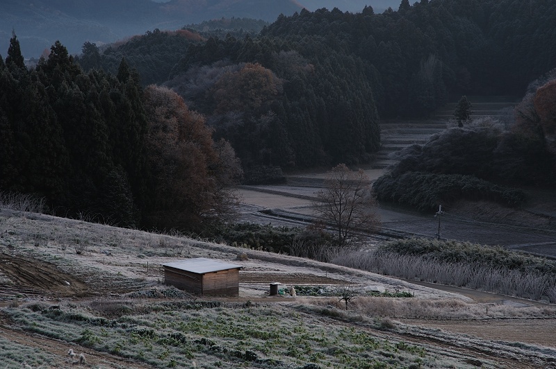 霜のある風景　（１）_f0067667_23481671.jpg