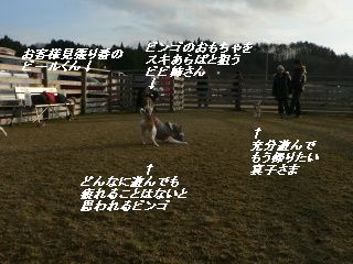 f0065568_1033349.jpg