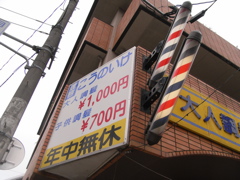 スパイキーヘア B Kaiju スパイキーヘア B Kaiju