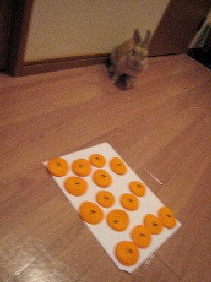 ご当選おめでとうございます!_a0107193_2223925.jpg