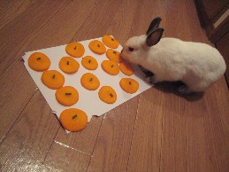 ご当選おめでとうございます!_a0107193_2224027.jpg