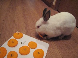 ご当選おめでとうございます!_a0107193_22241432.jpg