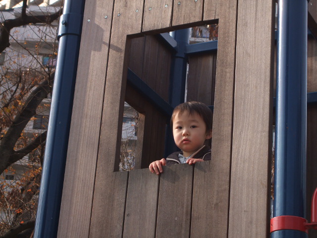 f0151093_2322689.jpg