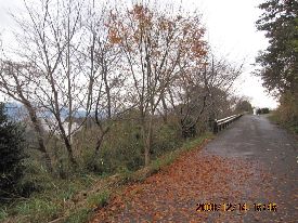 c0133096_19194061.jpg