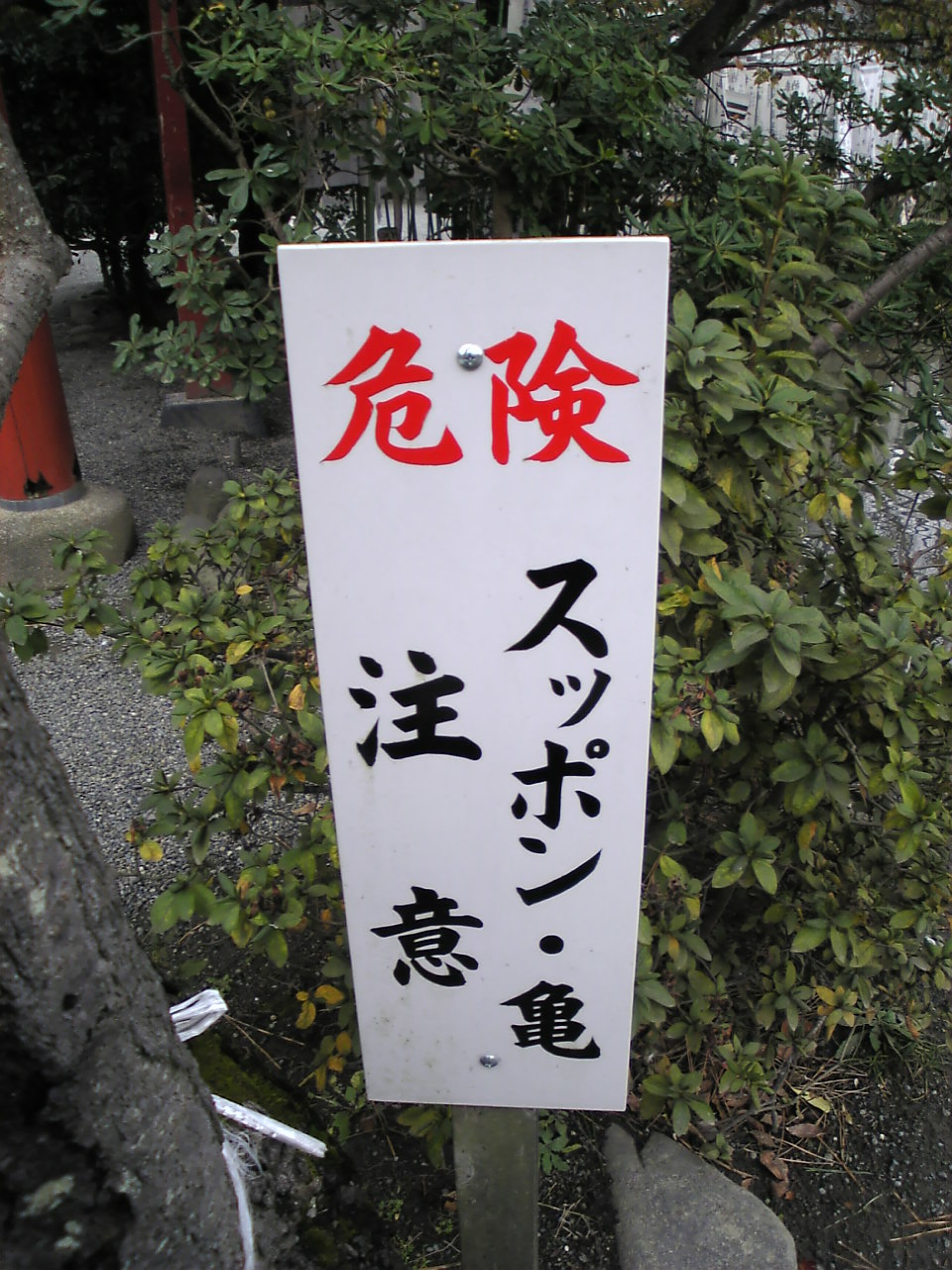 c0129604_15194586.jpg