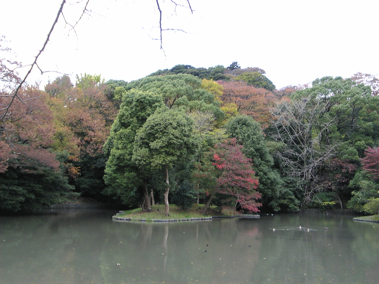 c0129604_15244179.jpg