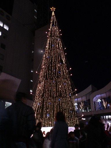 a0105809_15313811.jpg