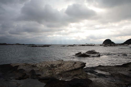 冬の海岸の生物_e0134713_18264866.jpg