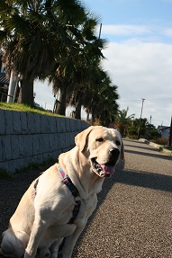 f0191413_1254646.jpg