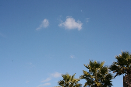 f0191413_932497.jpg