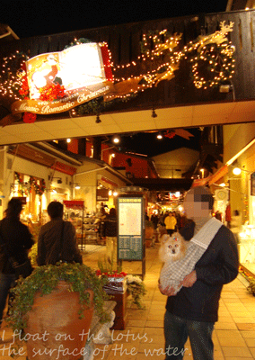 b0075318_13154434.gif