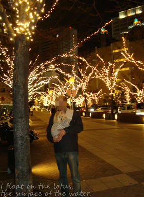 b0075318_1363716.gif