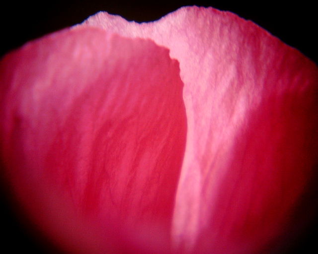 c0048218_16344133.jpg