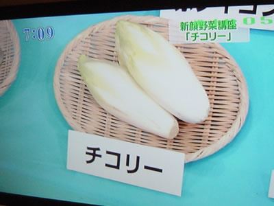 CBCテレビ「カラダのキモチ」にチコリ_d0063218_18185017.jpg