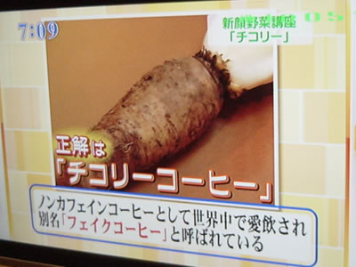 CBCテレビ「カラダのキモチ」にチコリ_d0063218_18191963.jpg