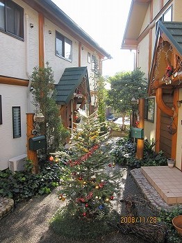 2008 X\'mas イルミネーション No1_c0038619_0371544.jpg