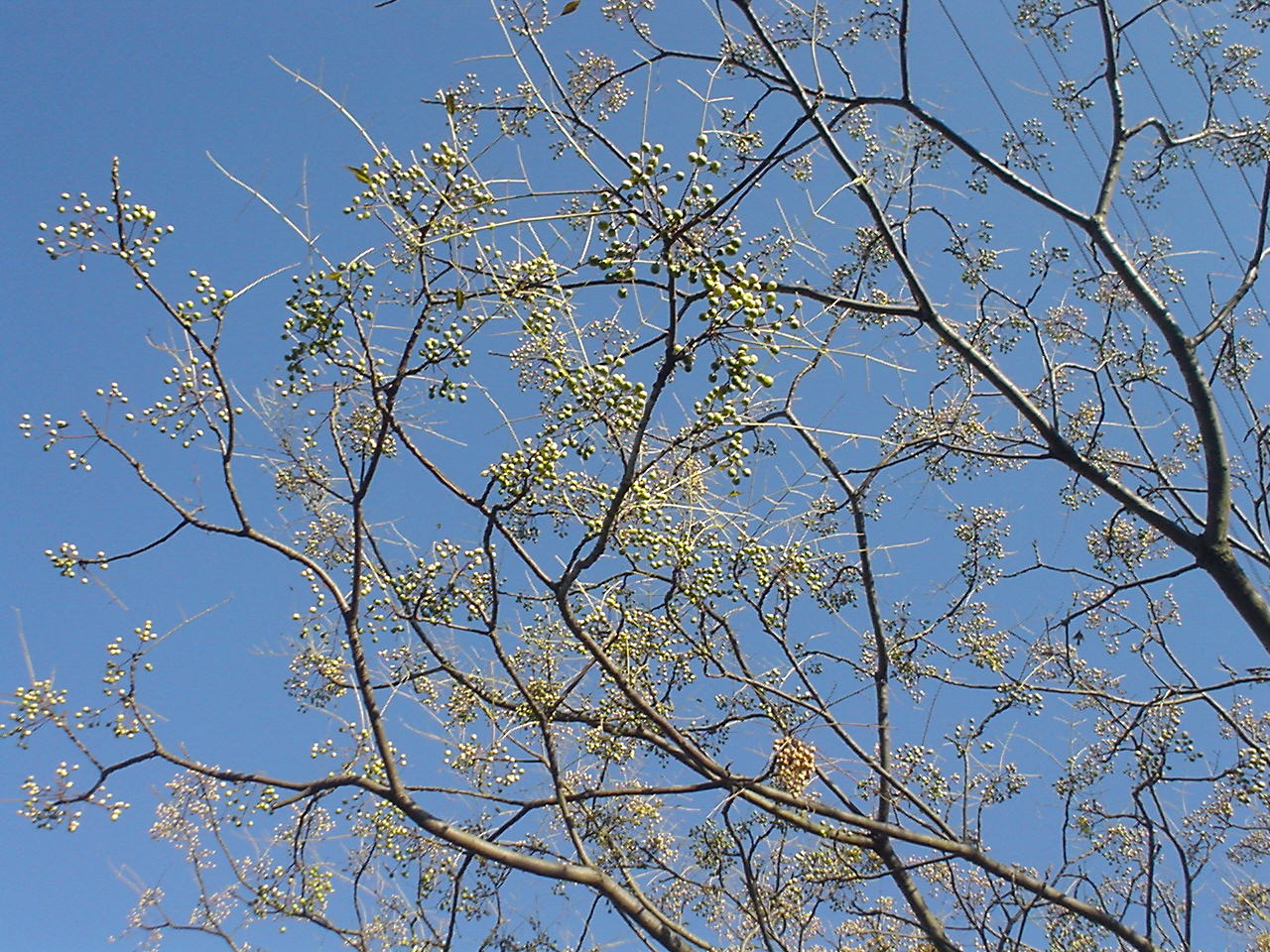 c0150520_23265772.jpg