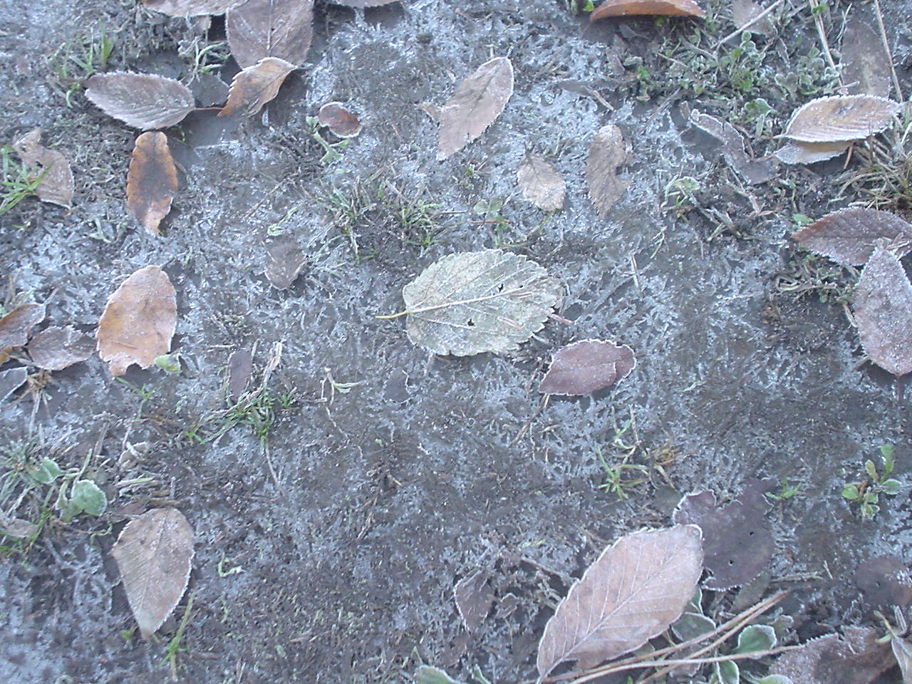 c0150520_2330384.jpg