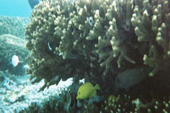e0139926_19271290.jpg