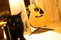 a0064927_0321996.jpg