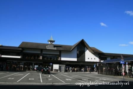 鶴岡八幡宮_c0165833_2313728.jpg