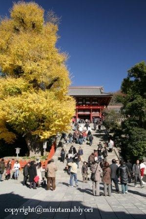 鶴岡八幡宮_c0165833_23143471.jpg