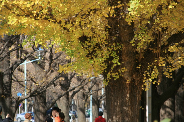 b0152234_1173399.jpg