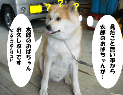 f0008935_15311749.gif