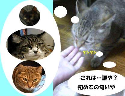 f0008935_15314556.gif